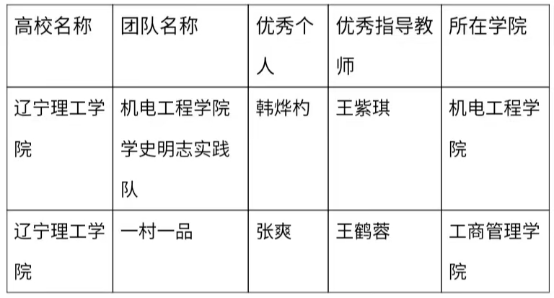 喜报|开云在“返家乡，爱家乡，赞家乡”大学生专项社会实践活动中荣获佳绩！