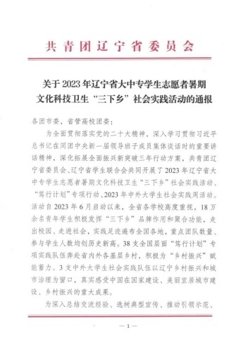 喜报｜开云在2023年辽宁省大中专学生志愿者暑期文化科技卫生“三下乡”社会实践活动中获奖