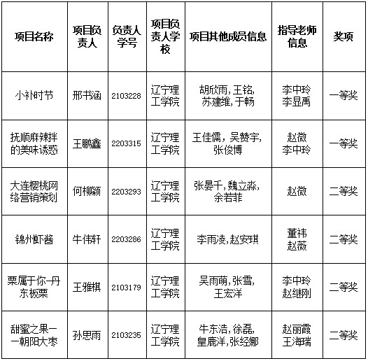 开云学子在2024年辽宁省大学生网络营销技能大赛中斩获佳绩