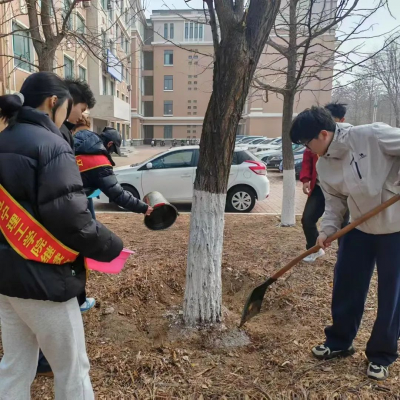 图片11.png