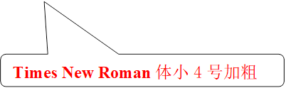 Times New Roman体小4号加粗